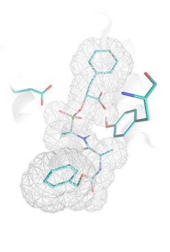 Molecular docking, lead optimization