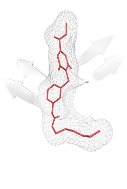 HIV-1(Human immunodeficiency virus) protease complex with inhibitor