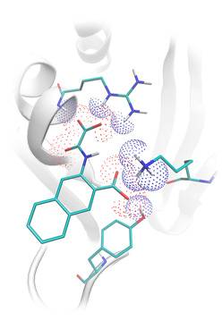 Molecular docking, lead optimization