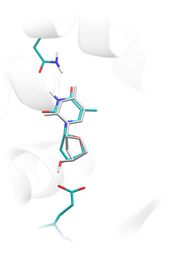 Molecular docking, lead optimization