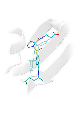 Molecular docking, lead optimization