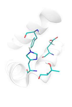 Structure preparation of cytochrome CYP3A4